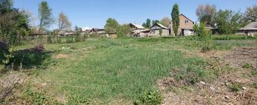 участок в ороке: 4 соток, Для строительства, Красная книга, Договор купли-продажи