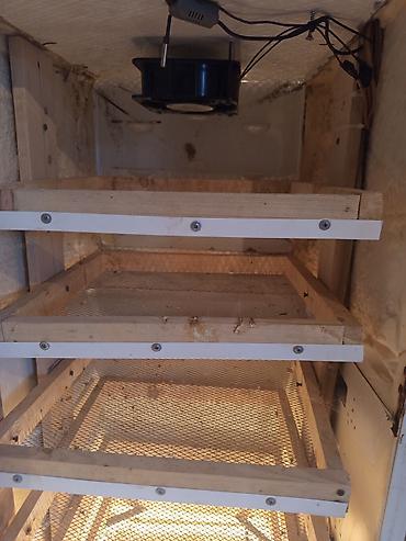 İnkubatorlar: Bütün növ quşlaq üçün — 5