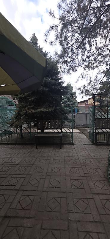 модульные блоки: 6 комнат и более, 240 м², 13 соток, Нижняя Ала-Арча, Собственник — 2