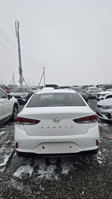 Hyundai: Hyundai Sonata: 2019 г., 2 л, Газ, Седан — 4