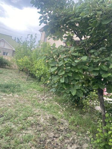 Həyət evləri və villaların satışı: 5 otaqlı, 112 kv. m, Kredit var, Yeni təmirli — 12