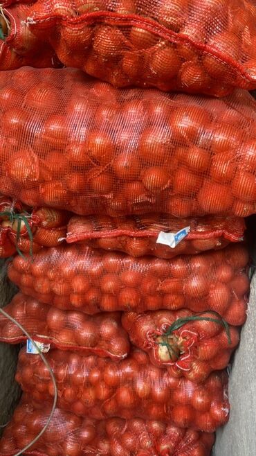 мягкая мебель на заказ бишкек: Лук Оптом