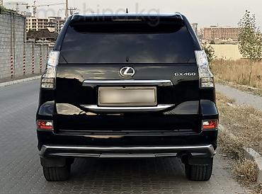 lecsus: Lexus GX: 2023 г., 4.6 л, Автомат, Бензин, Внедорожник — 2