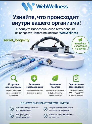 Техника и электроника: Биорезонансное тестирование WebWellness — комплексная компьютерная — 2