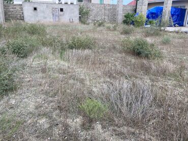 Həyət evləri və villaların satışı: Turkanda 20 sot torpag, 1 mertebeli ev, 3 otagli, qizil qum — 12