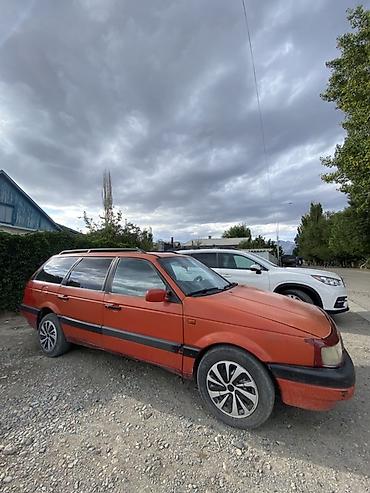 245 55 18: Volkswagen Passat Variant: 1992 г., Универсал — 2