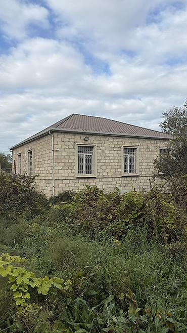 tap az heyet evi nzs: Satılır: həyət evi - Bir mərtəbəli, 3 otaqlı.studiya tipli — 3