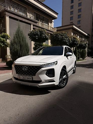 шина 19: Hyundai Santa Fe: 2019 г., 2 л, Автомат, Бензин, Кроссовер — 1