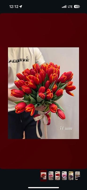 Букеты из живых цветов: Тюльпаны в стильной упаковке — яркие и нежные моно-букеты. Варианты — 3