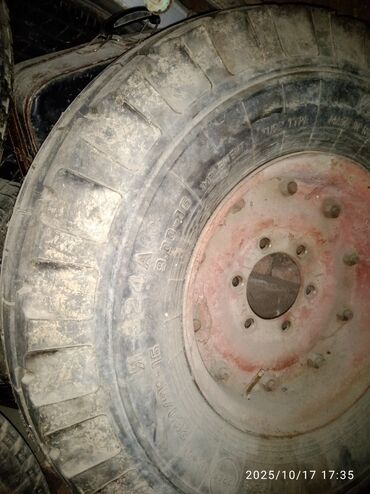 машина k5: Шина для сельхозтехники Я‑324А с диском на 6-шпилек - Размер: 9.00‑16