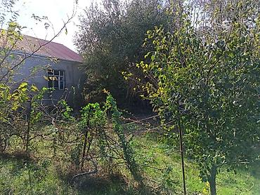 villalar: 1 otaqlı, 8 kv. m, Təmirsiz — 10