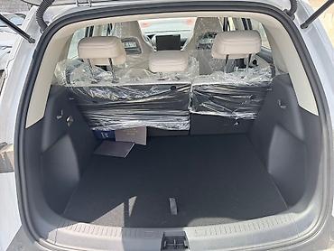 BYD: BYD : 2025 г., 0.1 л, Робот, Электромобиль, Кроссовер — 13