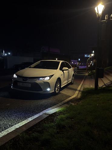 toyota hybrid: Toyota Corolla: 2021 г., 1.8 л, Автомат, Гибрид — 1