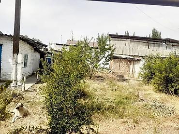 Продажа полдома: Срочно Мал базар жакта жер уй сатылат обмен бар . Под бизнес, под — 14