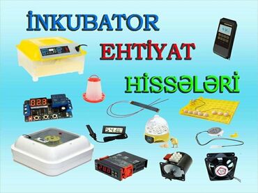 İnkubatorlar: İnkubator və ferma avadanlaqlari̇ inqubator yem qabi və su qabi -da lalafo.az — 19 İnkubatorlar: İnkubator və ferma avadanlaqlari̇ inqubator yem qabi və su qabi — 19