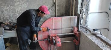 яблоко резка в Кыргызстан | ОВОЩИ, ФРУКТЫ: Демонтажные работы | снос стены | снос домов| снос бани | снос гаража|