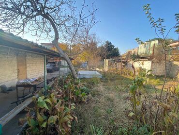 Torpaq sahələrinin satışı: 8 sot, Tikinti, Makler, Kupça (Çıxarış) -da lalafo.az — 6 Torpaq sahələrinin satışı: 8 sot, Tikinti, Makler, Kupça (Çıxarış) — 6