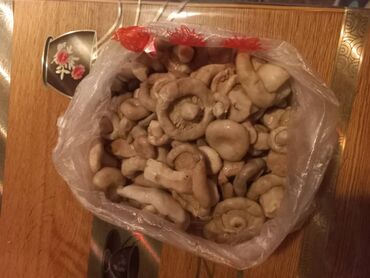 оазис шаурма бишкек контакты: Продаём очень вкусные солёные иссык кульские грибочки грузди