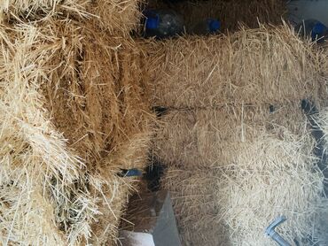 корма для животных: Арпа саман метровый тюктор сатылат, Сокулук . Таптаза кургак складта
