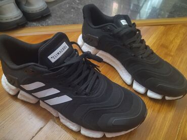 adidas f: Кроссовки и спортивная обувь