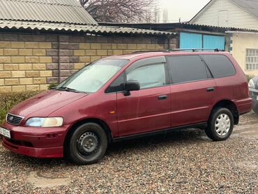 honda odyssey 1995: Honda Odyssey: 1995 г., 2.3 л, Автомат, Бензин, Минивэн