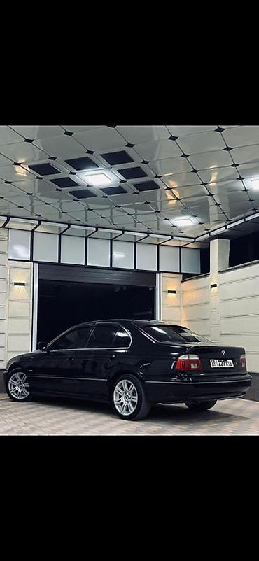 x5 x6: BMW 5 series: 2002 г., 2.5 л, Автомат, Бензин, Седан — 5