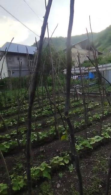 xirdalan abseron city kiraye evler: 5 sot, Mülkiyyətçi, Kupça (Çıxarış) — 6