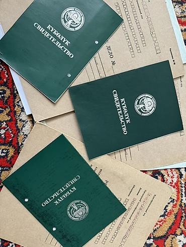 пасеки: 75 соток, Для сельского хозяйства, Договор купли-продажи — 1