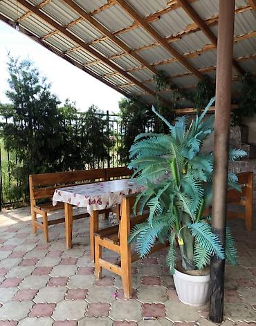 Беседки: Беседка Дерево — 5