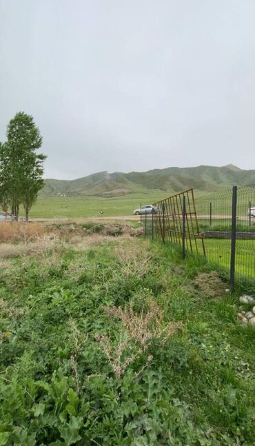 Продажа участков: 5 соток, Для бизнеса, Красная книга