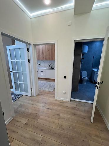 1 bedroom: 1 комната, 46 м², Аламедин-1 мкр Элитка, 2 этаж, Евроремонт — 3