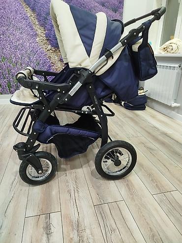 Коляски: Коляска Anmar Sharon Lux произведена в Польше. Тип — 6