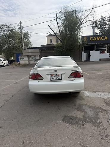 тайота в: Toyota Windom: 2003 г., 3 л, Автомат, Бензин, Седан — 4