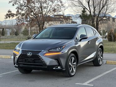 Lexus: Lexus NX: 2019 г., 2 л, Автомат, Бензин, Кроссовер — 12