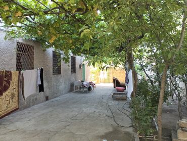 Günlük kirayə evlər: 3 kv. m, 6 otaqlı, Qaz, İnternet, Artezian quyusu -da lalafo.az — 15 Günlük kirayə evlər: 3 kv. m, 6 otaqlı, Qaz, İnternet, Artezian quyusu — 15