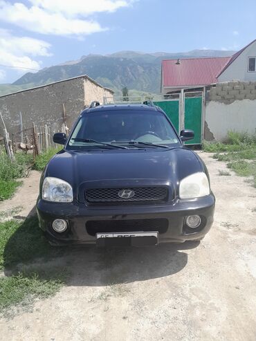 Hyundai: Hyundai Santa Fe: 2003 г., 2 л, Механика, Дизель, Внедорожник — 18
