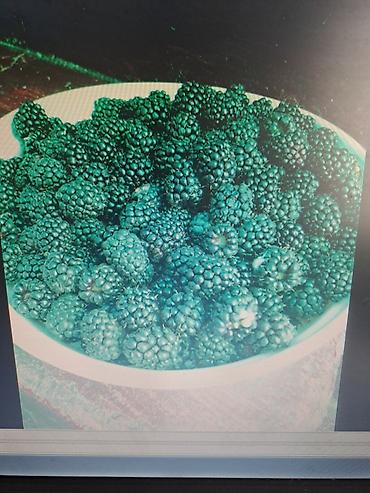 Смородина: Смородина — 12