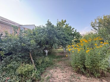 пол дома пишпек: Дом, 100 м², 5 комнат, Собственник, Косметический ремонт