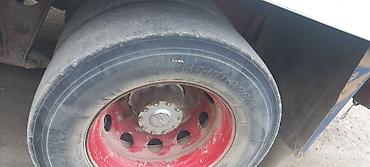 Грузовики: Грузовик, DAF — 11