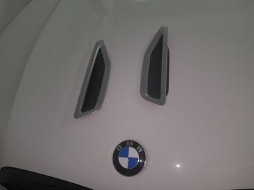 Balıq qulağı: BMW yan qanad dekorativ hava çıxışı (fender vent) örtükləri -