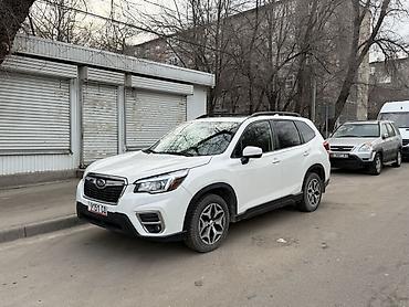 Subaru: Subaru Forester: 2019 г., 2.5 л, Вариатор, Бензин, Кроссовер — 9