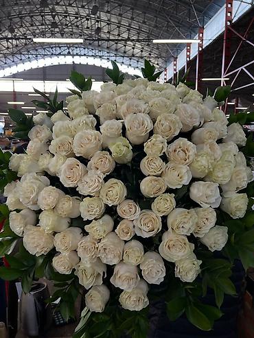 Букеты из живых цветов: Авторские букеты из свежих цветов - Розы премиум-класса (крупный — 24