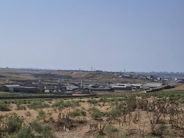 Uzunmüddətli kirayə mənzillər: 41 sot, Kənd təsərrüfatı, Makler, Kupça (Çıxarış)