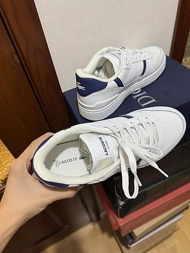 lacoste кроссовки: Мужские кроссовки, 43, Lacoste, Новый, цвет - Белый, Самовывоз — 6