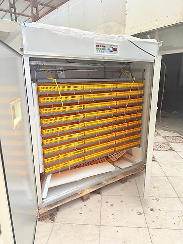 İnkubatorlar: 5000 yumurta, Çin, Azərbaycan dilində təlimat, Bütün növ quşlar üçün, Fabrik istehsalı — 5