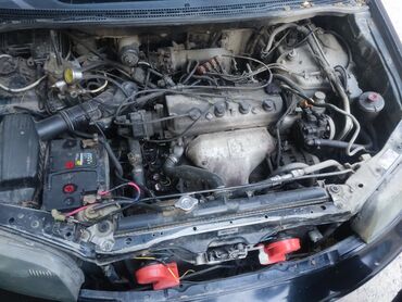 рога на одиссей: Honda Odyssey: 1996 г., 2.2 л, Автомат, Газ, Минивэн