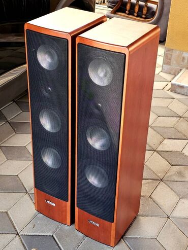 Zvučnici i stereo sistemi: Canton Ergo 690 DC Model poslednje generacije, vrhunskog zvuka i — 5