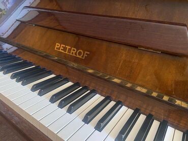 pianino qiymetleri: Пианино, Petrof, Акустический