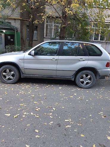 бмв e46: BMW X5: 2003 г., Автомат, Кроссовер — 2