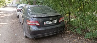 машина баасы: Toyota Camry: 2010 г., 2.5 л, Автомат, Бензин, Седан